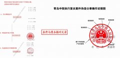 落马高官女婿的空壳公司，如何“合法”
